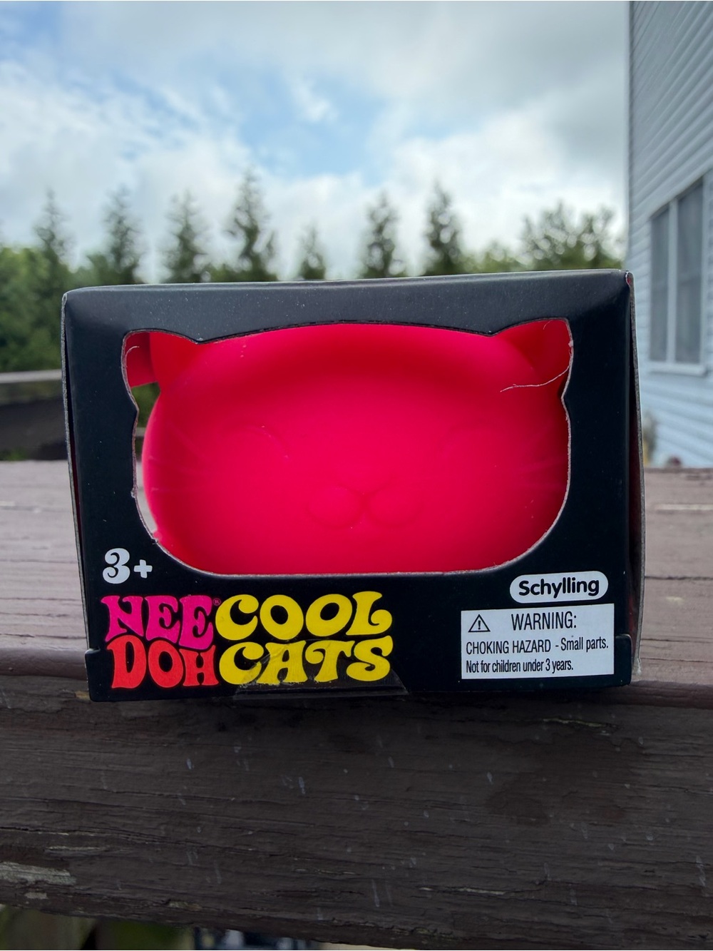 NeeDoh Cool Cats Pink Squeeze by Schylling